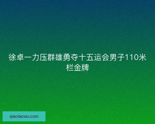 徐卓一力压群雄勇夺十五运会男子110米栏金牌